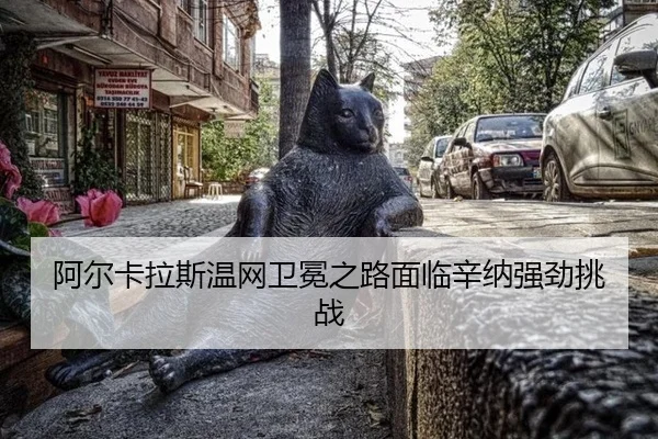 a-er-ka-la-si-wen-wang-wei-mian-zhi-lu-mian-lin-xin-na-qiang-jing-tiao-zhan-2-891.jpg