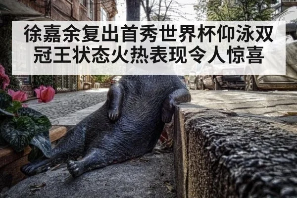 徐嘉余复出首秀世界杯仰泳双冠王状态火热表现令人惊喜